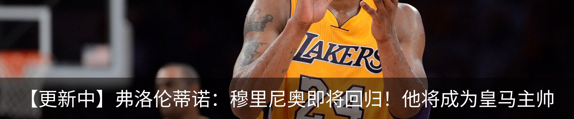 最新动态